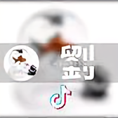 DP2347402头像