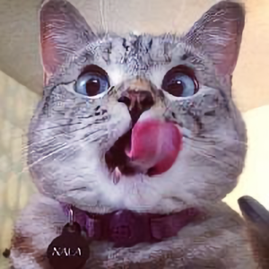 小甜子子头像