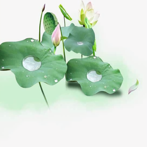 浅藏尘埃头像
