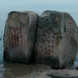 努力的人向上的人头像
