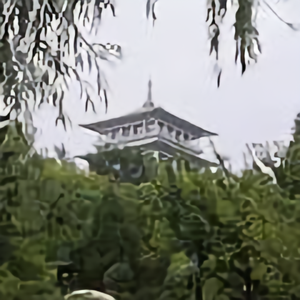 风竹清韵头像