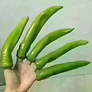 璇璇138501239头像