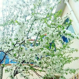 久醉I红尘头像