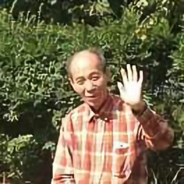 灯趣头像