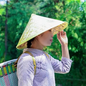 野小妹的个人主页 西瓜视频