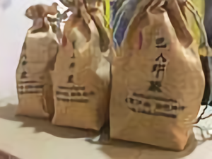 巴人印象头像