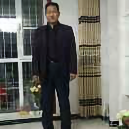 AA保温防水张树增头像