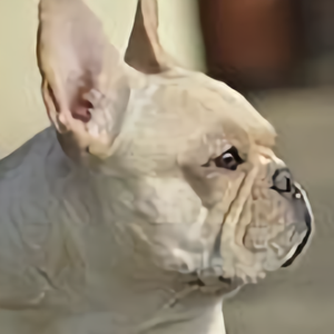 武汉狼狼头像