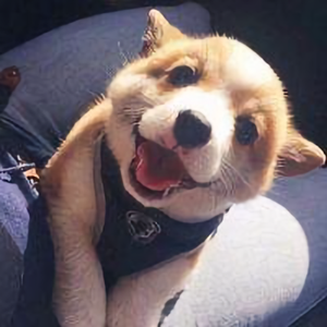 蓓蓓育儿经 头像