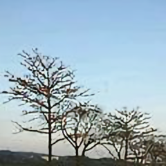 岁月静好159772948头像