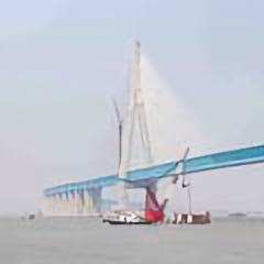 港城观风听月头像