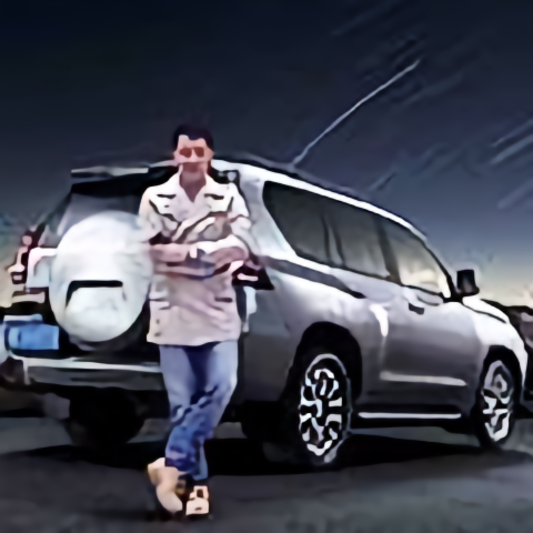 猴哥到处走头像