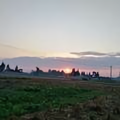 飞哥生态龙虾头像