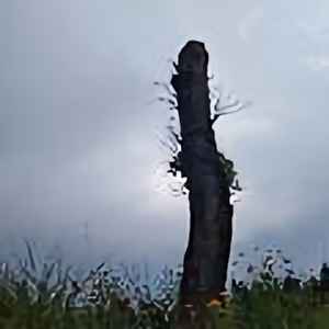 袖里翰香头像
