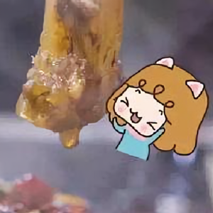 道理我都懂头像
