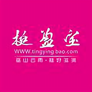 挺盈宝头像