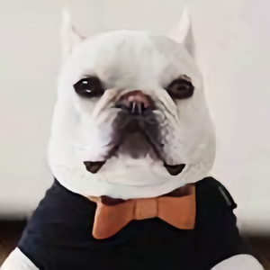 孤独浪子l头像