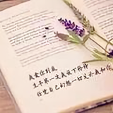 表里如一回忆很美头像