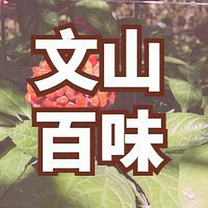 文山百味头像