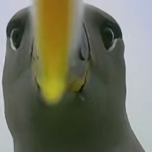 山海之名头像