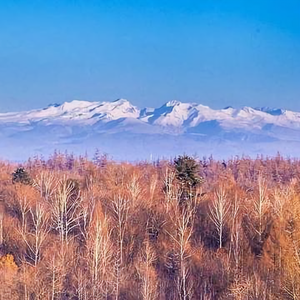 长白山里的生活分享头像