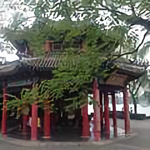 alliswell3224084511头像