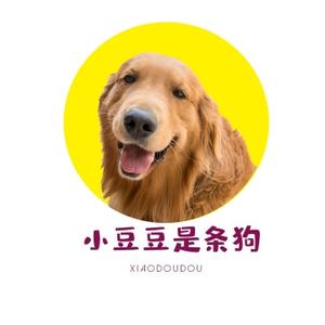 小豆豆是条狗头像