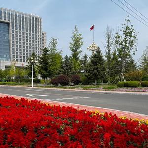 银杏275945547 头像