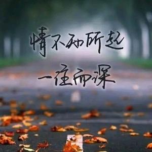 带不动的跑调音符头像