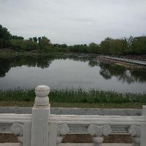 终生学习头像