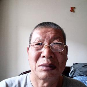 多才星星h8头像