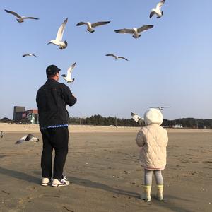 低调辉头像