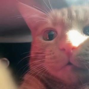看下世界头像