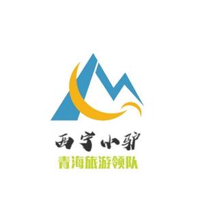 青甘旅游领队驴队长头像