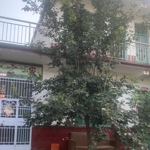 涵宝儿头像