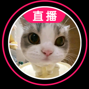 清枫动物园头像