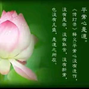 静以养心头像