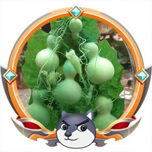 六合613头像