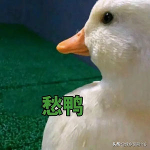 水清浅月黄昏昨夜星辰头像