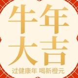 橙酒酿造头像