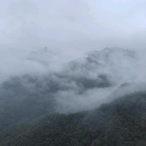 直播精彩头像
