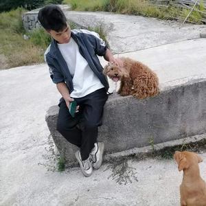 博主分享头像
