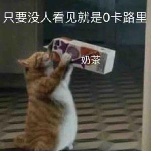 小段子楼头像
