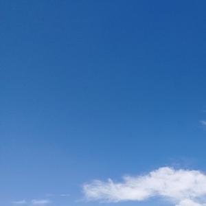自在Brave头像