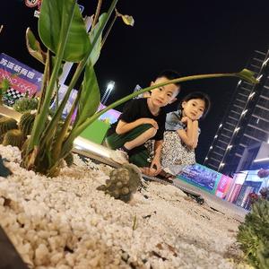 龙凤胎莫黎莫琪头像