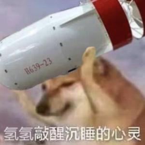 uu狗子头像