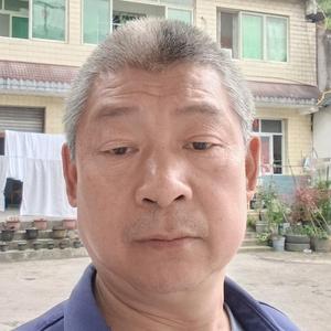 高桥农家乐头像