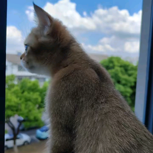 姑苏司机@正能量 头像