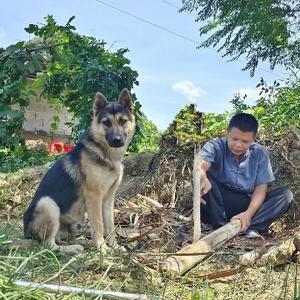 深山寻宝人头像