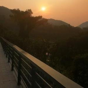 孤灯夜谈头像